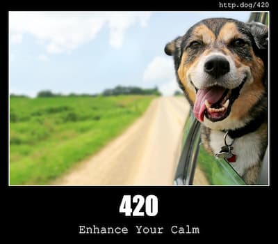 420 Enhance your calm & Dogs
