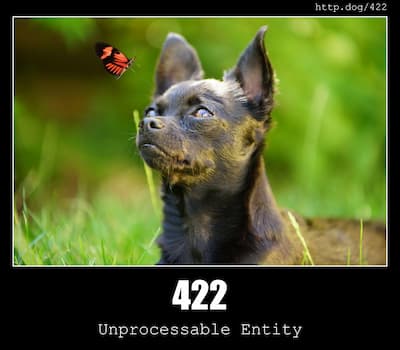 422 Unprocessable Entity & Dogs
