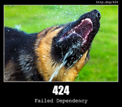 424 Failed Dependency & Dogs