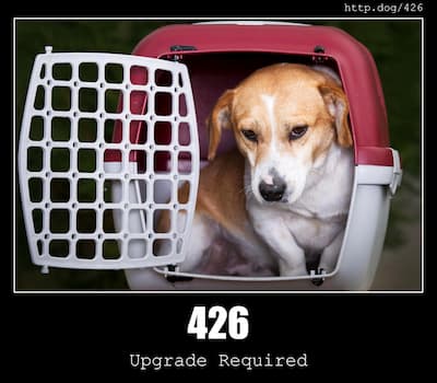 426 Upgrade Required & Dogs