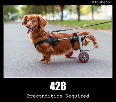 428 Precondition Required & Dogs