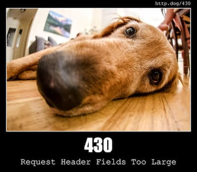 430 Request Header Fields Too Large & Dogs