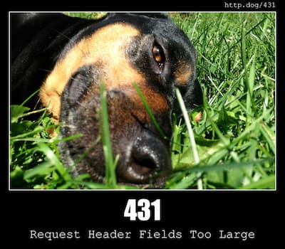431 Request Header Fields Too Large & Dogs