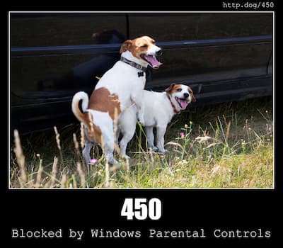 450 Blocked by Windows Parental Controls & Dogs