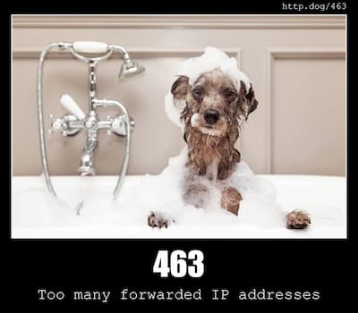463 Too many forwarded IP addresses & Dogs
