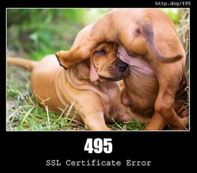 495 SSL Certificate Error & Dogs