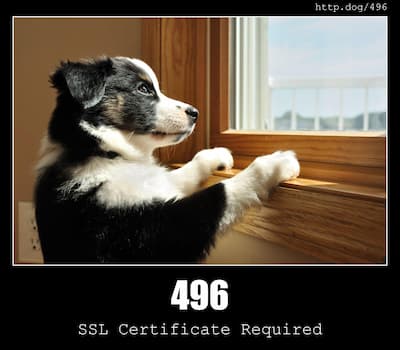 496 SSL Certificate Required & Dogs