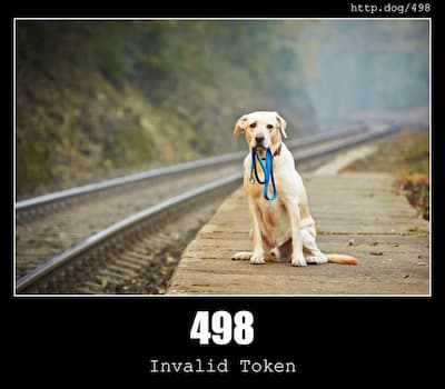 498 Invalid Token