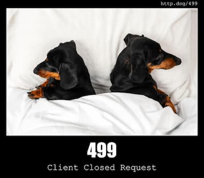 499 Client Closed Request & Dogs