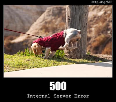 500 Internal Server Error & Dogs