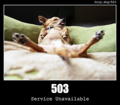 503 Service Unavailable & Dogs