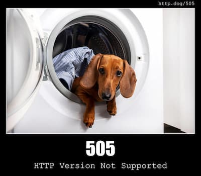 505 HTTP Version Not Supported & Dogs