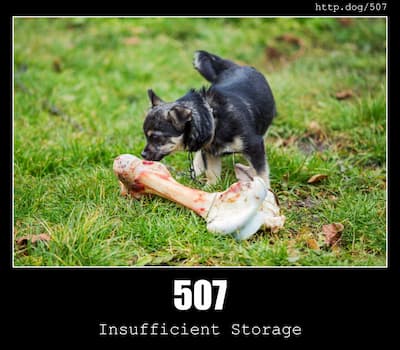 507 Insufficient Storage & Dogs