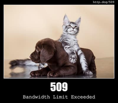 509 Bandwidth Limit Exceeded & Dogs