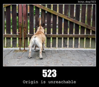 523 Origin is unreachable & Dogs