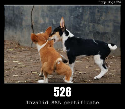 526 Invalid SSL certificate