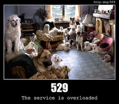 429 Too Many Requests - HTTP status code and dogs!