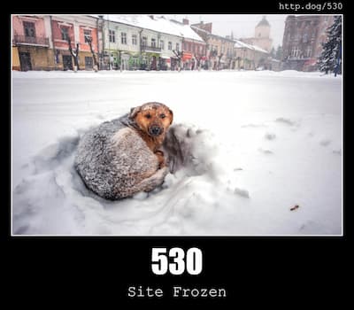 530 Site Frozen & Dogs