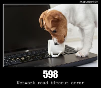 598 Network read timeout error & Dogs