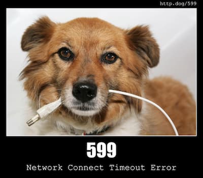 599 Network Connect Timeout Error & Dogs