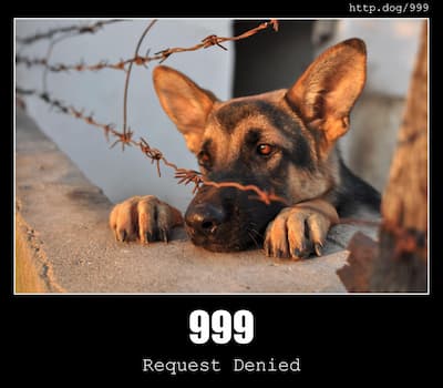 999 Request Denied & Dogs